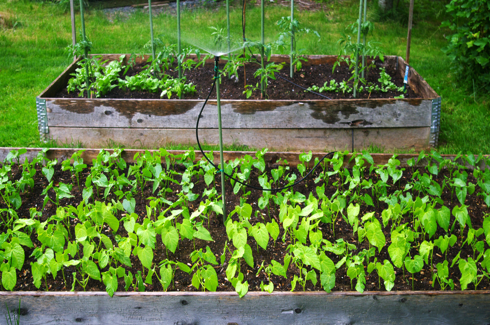 Use Raised Bed Planters to Extend Your Growing Season