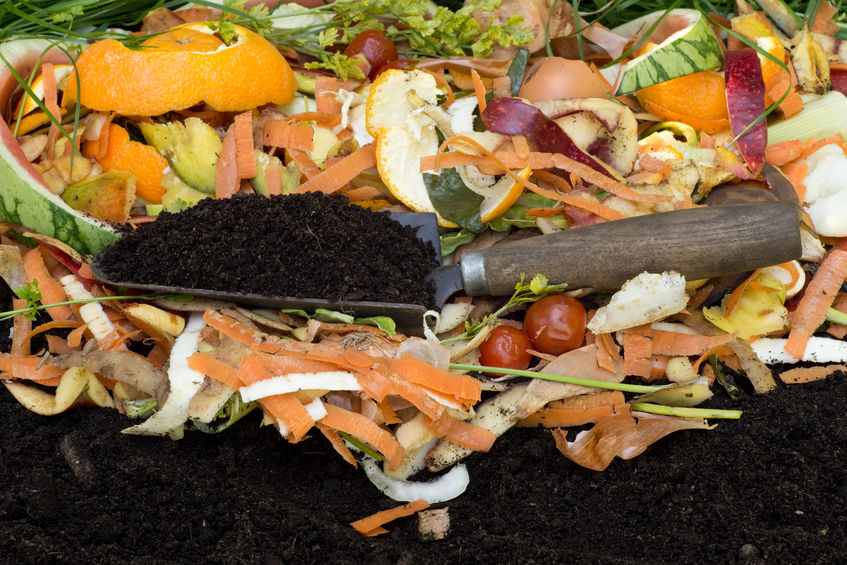 Avoid Fruit Flies in Compost