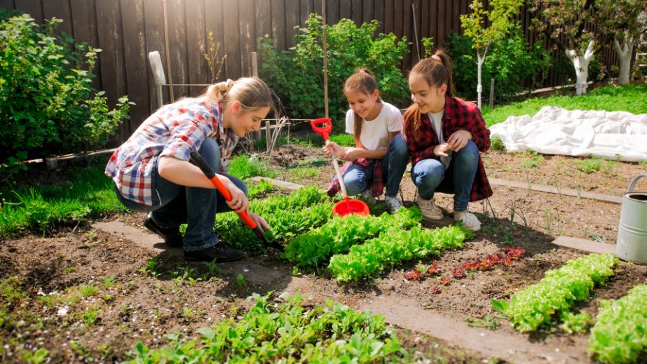 Why pH Levels are Crucial to Your Vegetable Garden